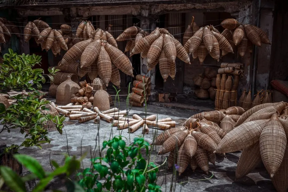 bamboo1
